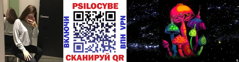 Псилоцибиновые грибы Psilocybine cubensis  Тамбов 