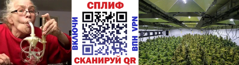 где купить наркотик Тамбов Канабис конопля